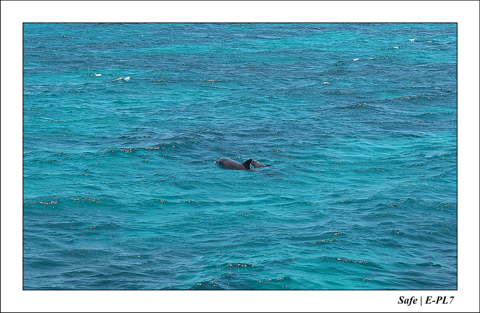 Hurghada - Juillet 2021 - 015